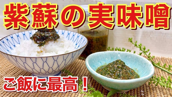 アク抜きなし！甘辛旨い♡紫蘇の実の佃煮 by 能登の料理家 悠美姉 ゆみねぇクックパッド簡単おいしいみんなのレシピが392万品