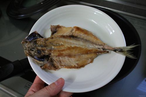 干物はフライパンで簡単においしく焼ける！グリル不要で後片付けも便利福井の越前宝や 越前たからや