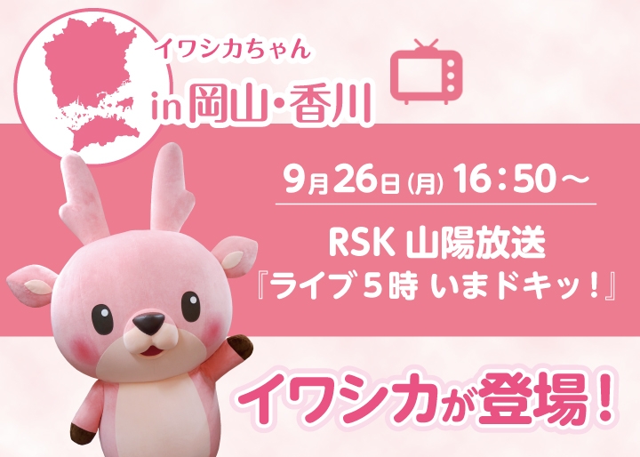 DIY動画 キッチンに長〜いガラス風ショーケースを♪おうちのここち ～DIYのある暮らし～