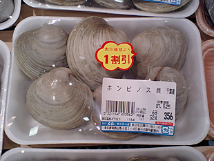 はまぐりVSホンビノス！食べ比べしてみました！！幸市場ニュース