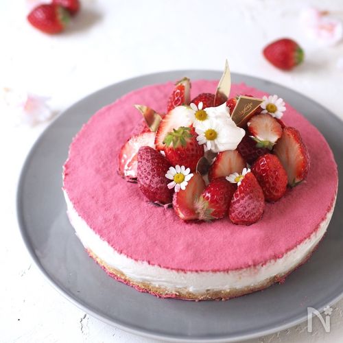 生クリームと水切りヨーグルトで作る！ 焼かないレアチーズケーキのレシピ・作り方お菓子のプロによるレシピをシェアする「シェアレピ」