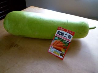 夕顔の美味しい食べ方TikTok