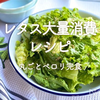 レタス大量消費！炒めレタスの韓国風サラダ