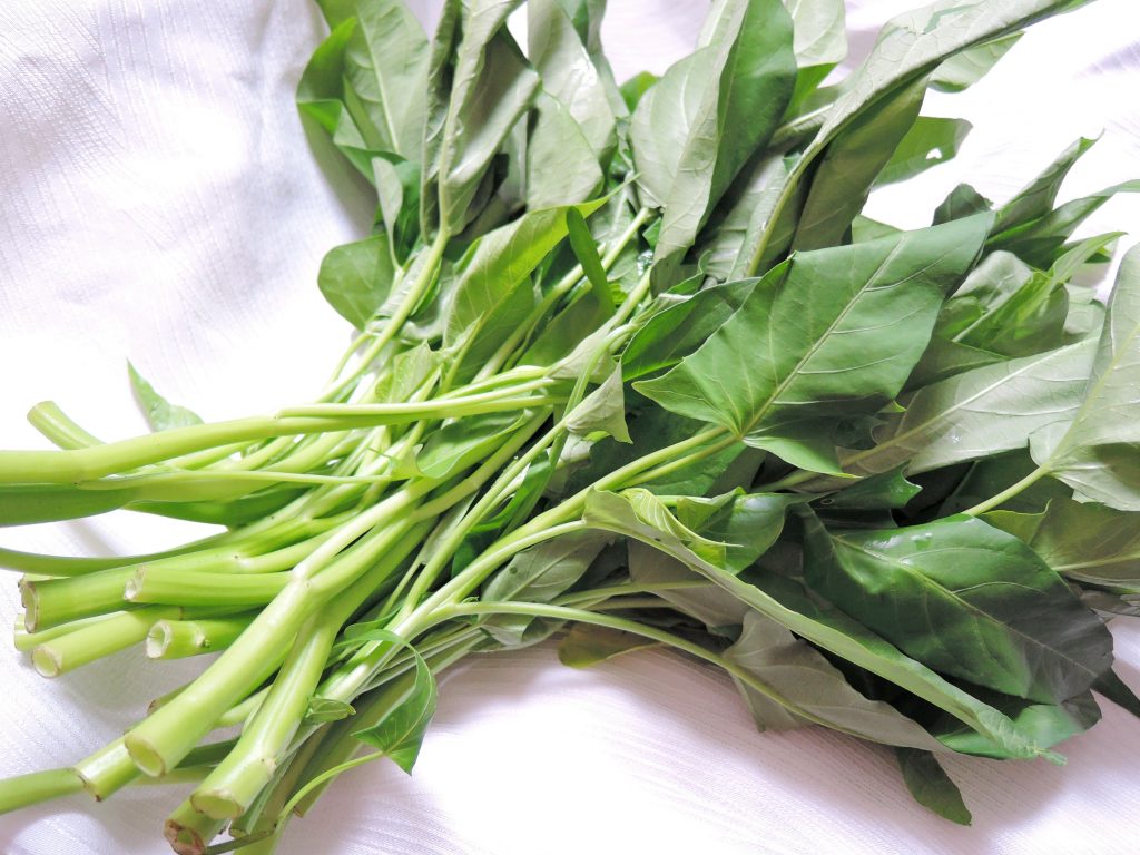 野菜が眠る？ 「スリープ野菜」機能搭載！ 日立の冷凍冷蔵庫「真空チルド」に新シリーズが登場 - 価格.comマガジン