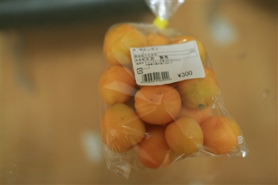 やんばるの冬の風物詩 「タンカン狩り」へ行きませんか？ 沖縄を代表する柑橘類「タンカン」は、 1月から収穫時期を迎えます。当ホテルの位置する「やんばるエリア」内の 本部町はタンカンの名産地。 タンカン狩り体験ができる農園が数カ所あり、 地元の方や観光客に