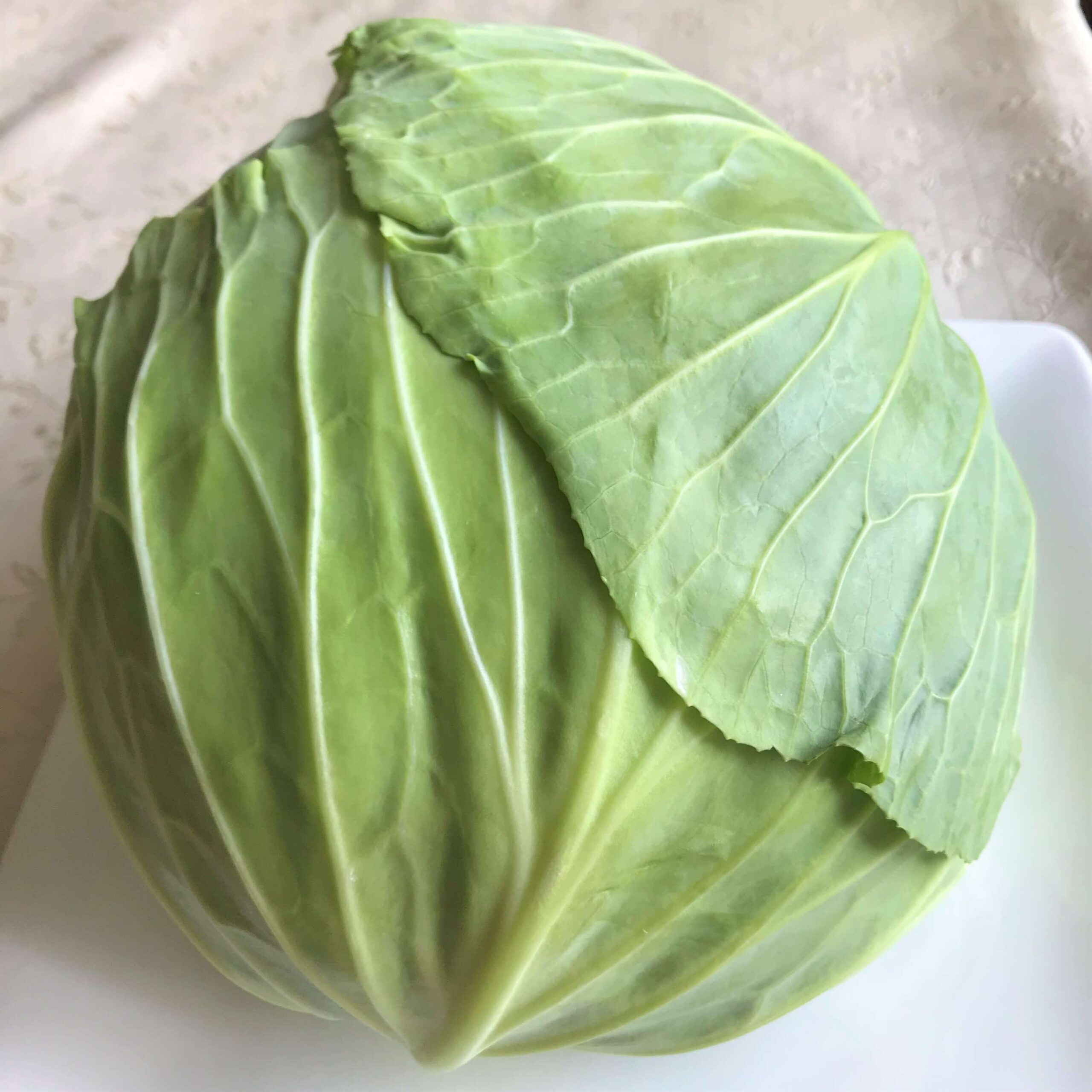 フランスのキャベツは固い！！ゆるべジlife in France