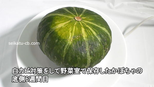オレンジ色に変色したかぼちゃは食べられるの？緑のかぼちゃとどっちが甘い？実際に食べ比べて見た！生活知恵袋