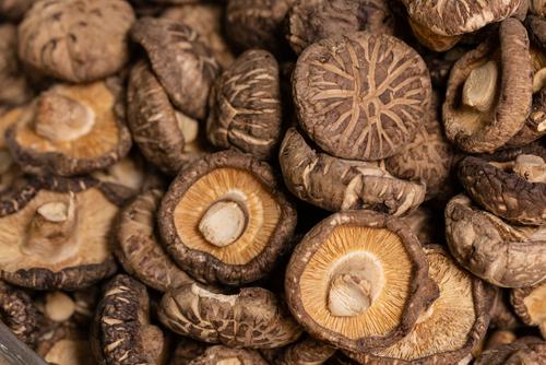 しいたけの賞味期限はいつ？冷蔵、冷凍、乾燥、常温？4つの保存方法