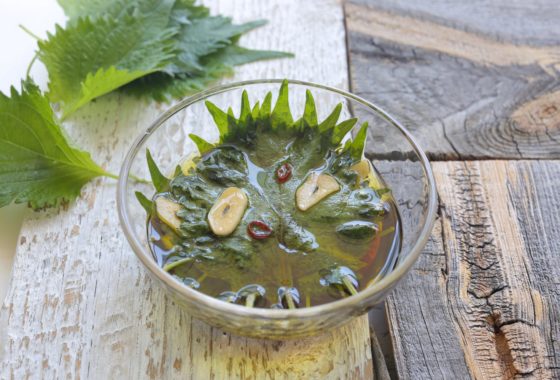 しその実の醤油漬け～♪ by baba709クックパッド簡単おいしいみんなのレシピが392万品