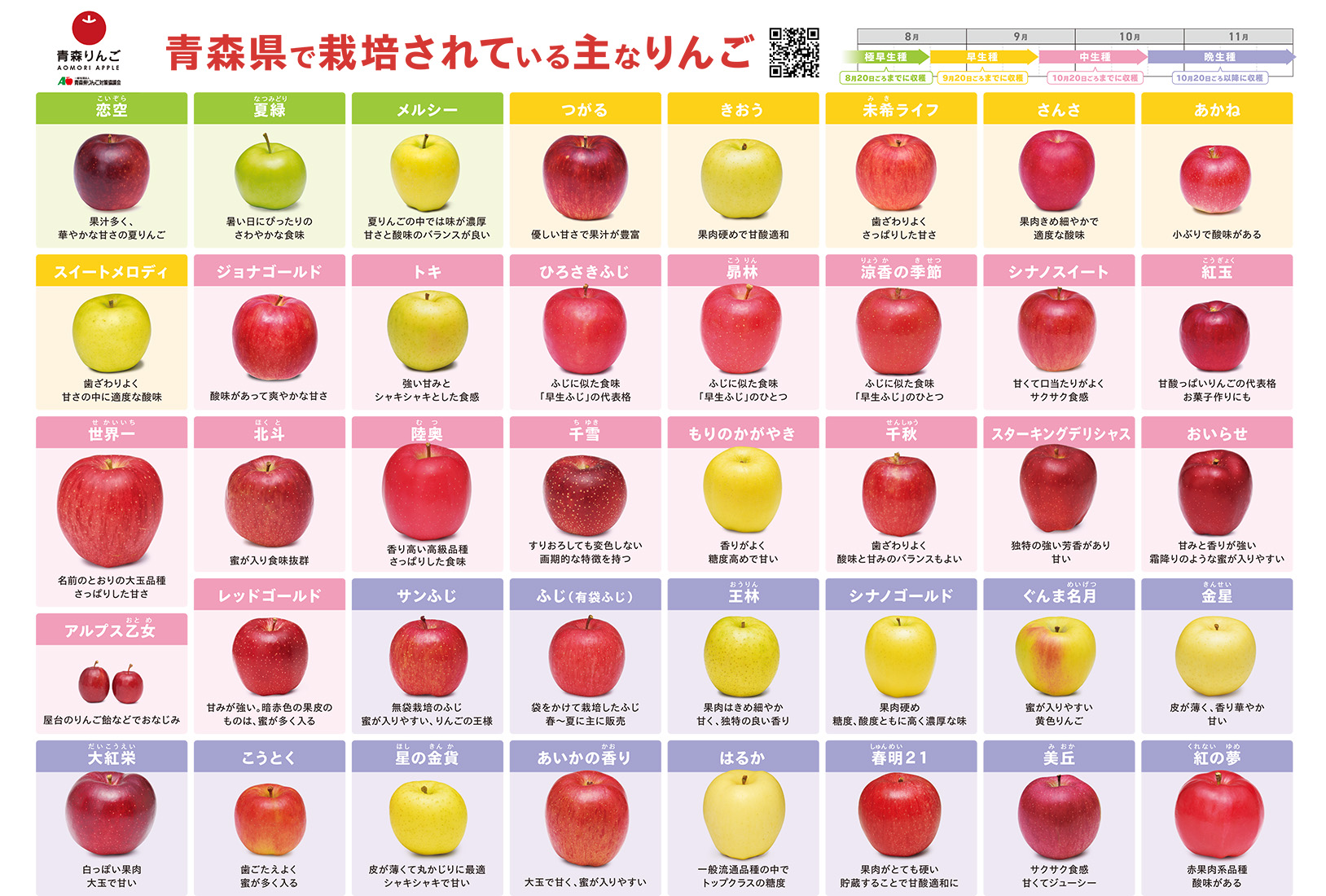 農産物直売所、珍しい品種のりんご🍎と桃🍑の味比べ - lemonlemonlemonのブログ