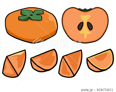 見事なまでに真っ二つになった柿の種 覗き込んだ中の様子になんか感動してしまう「すごい! 教科書より完璧」 - Togetter