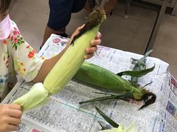 とうもろこしの皮むき そらまめ保育園 さくら市企業内保育施設 そらまめ保育園