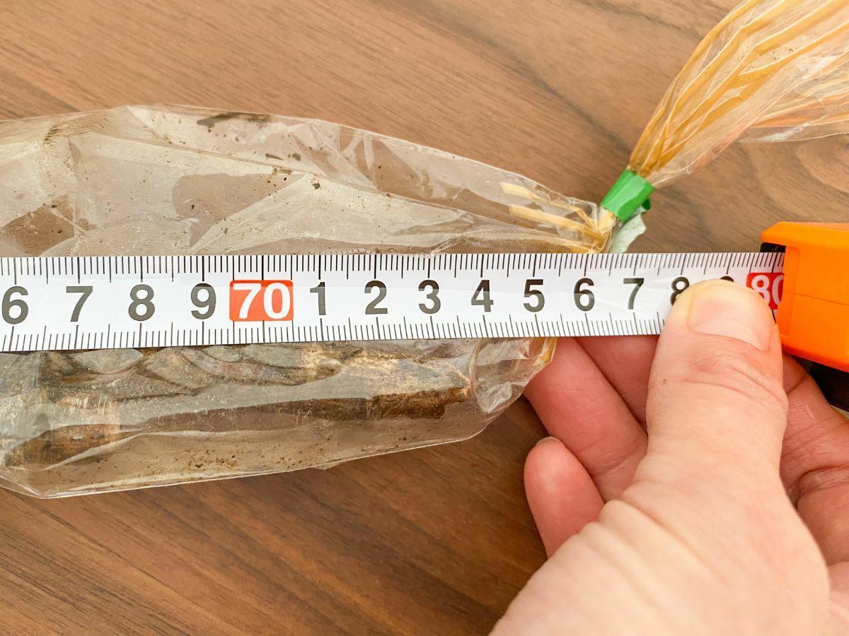 ごぼうの冷凍保存 食感変わらず1ヵ月もつ！野菜ソムリエの簡単テクほほえみごはん-冷凍で食を豊かに-ニチレイフーズ