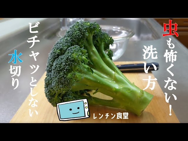 ブロッコリーは電子レンジでチンしよう！茹でるより栄養キープ＆時短にもShufoo!プラス