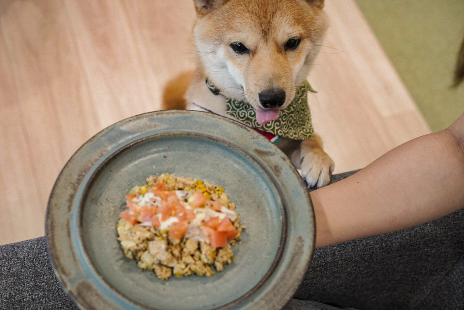 犬 手作りレシピ 増血トッピングごはん ドッグフード通販 販売の帝塚山ハウンドカム