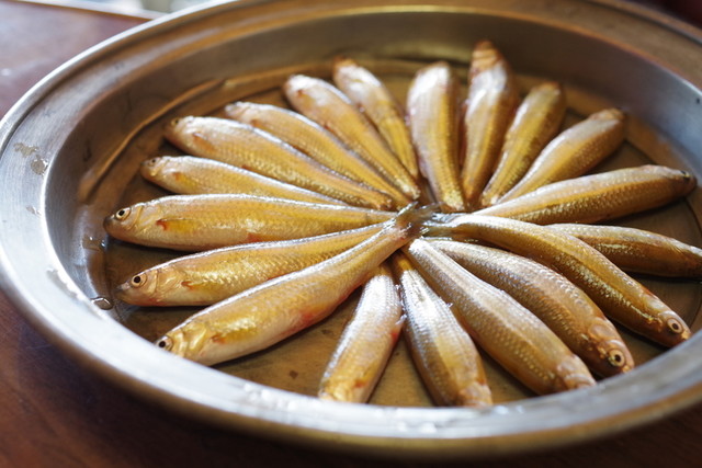 滋賀のおせち ホンモロコ、夜の湖上に輝く「琵琶湖の宝石」 1 2ページ- 産経ニュース