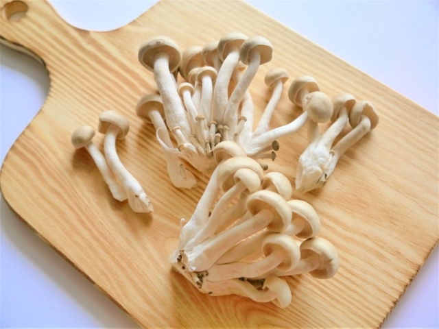 しいたけにカビのような白いフワフワ 食べても大丈夫？カビとの見分け方は？ - トクバイニュース