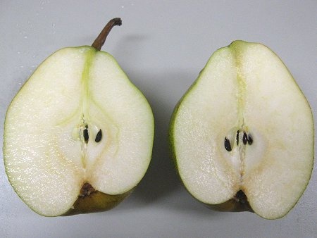 輸入・国産青果物専門商社≪ベルフーズ≫ 山形産 大玉ラ・フランス「南果連」 くだものG-Callショッピング