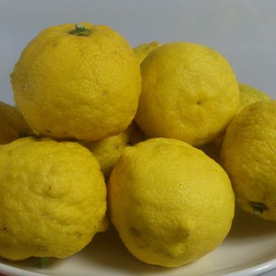 簡単！からたち ゆず ジャム