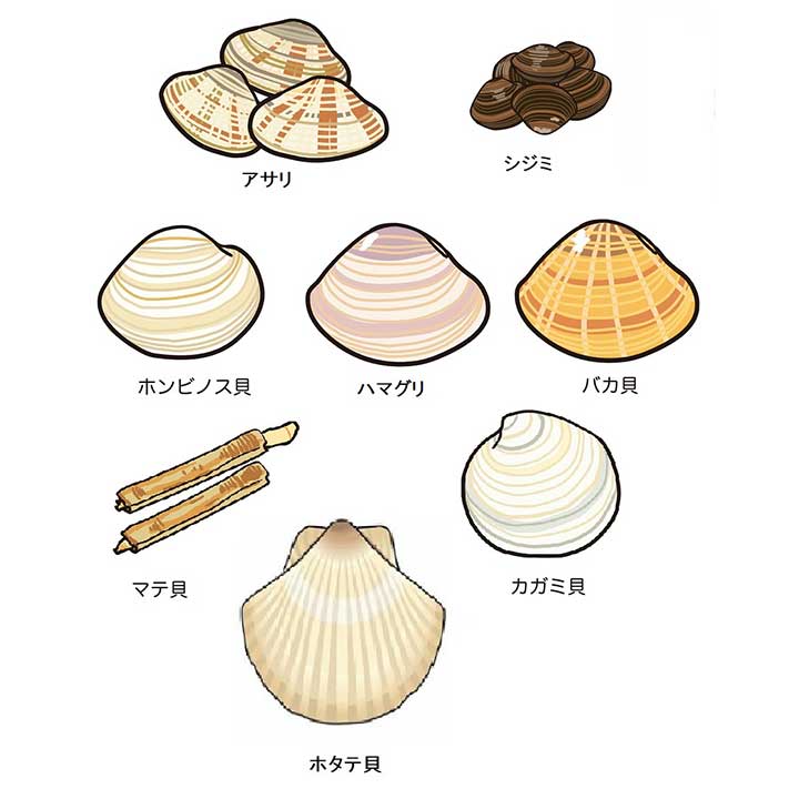 プロに聞く！ 「あさり・しじみ・はまぐり」の砂抜き・5分で砂抜きする裏ワザも検証季節の食材のHOW TOアマノフーズ公式ブランドサイト