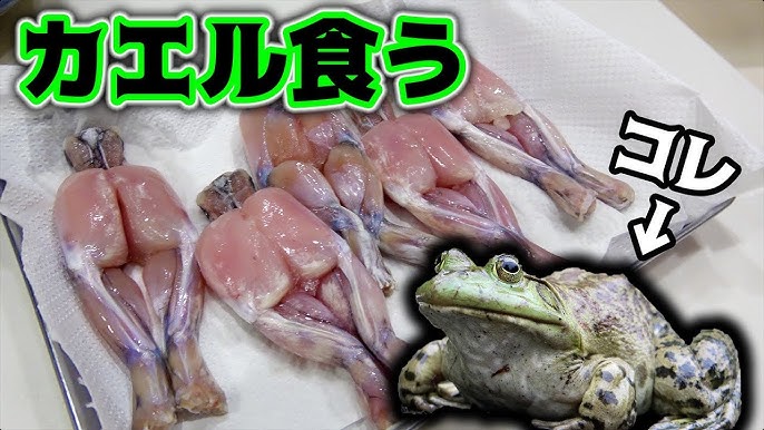 市場で新鮮なカエルの肉。の写真素材・画像素材 Image 34881973