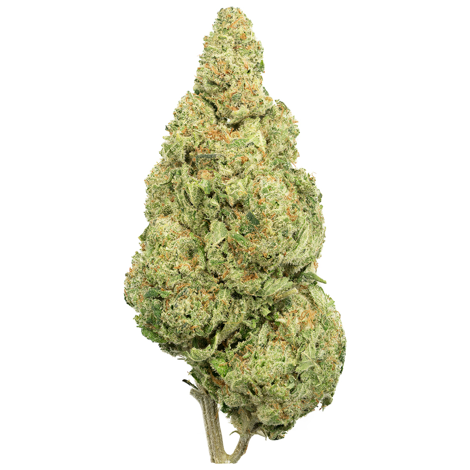 Super Lemon Haze - Sazonal FeminizadaLinha de sementes