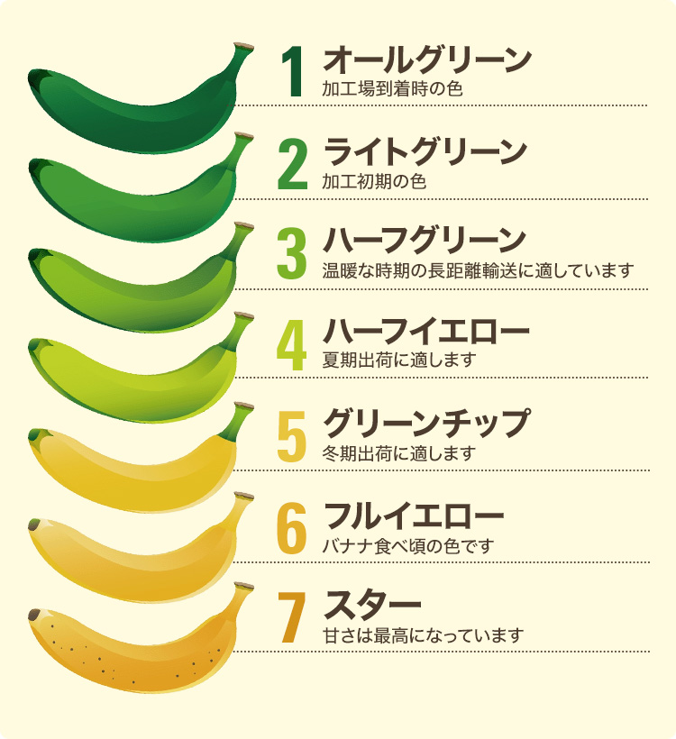 バナナの保存で失敗しない！正しい方法とは？野菜ソムリエが徹底解説 - macaroni