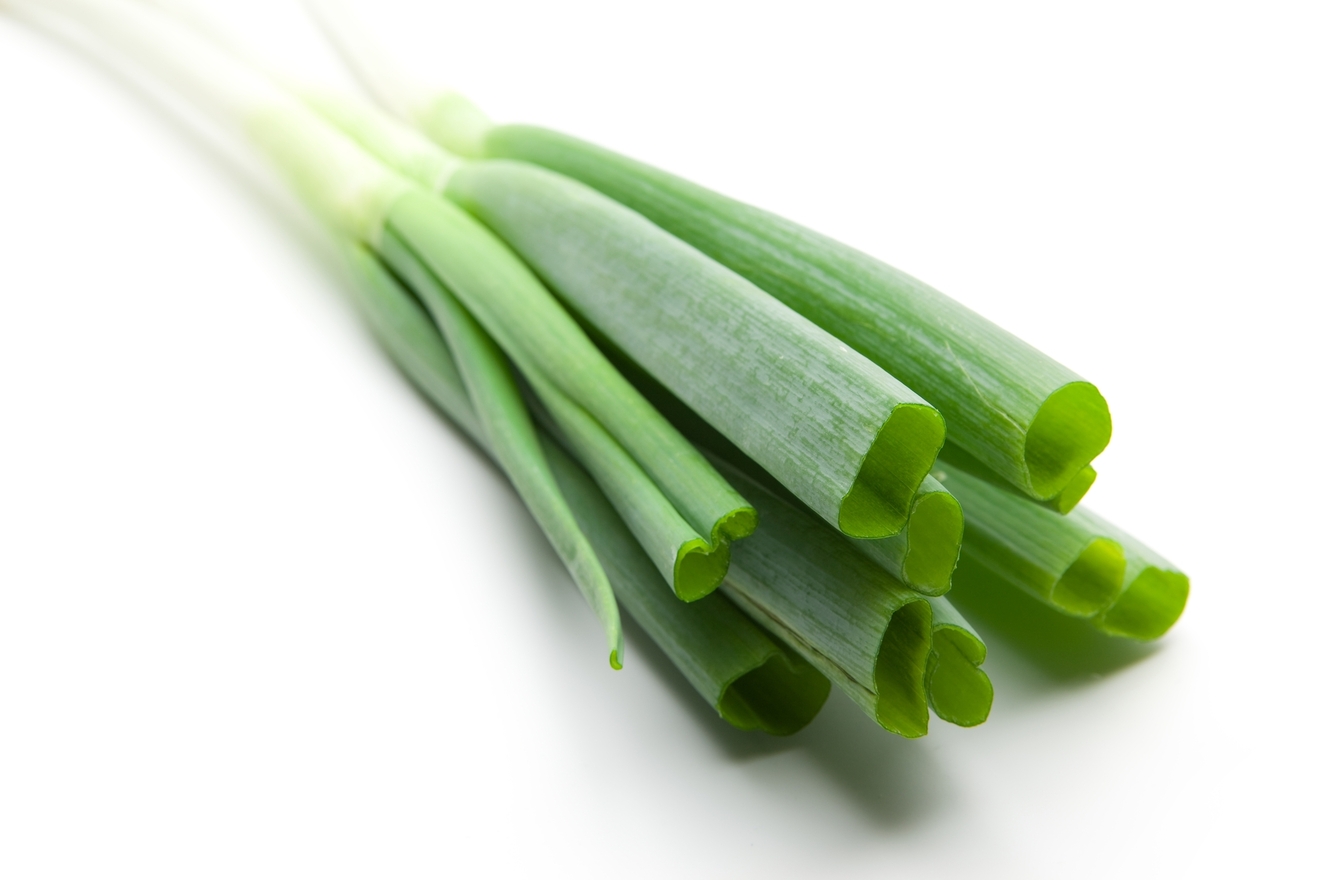 ネギの青い部分で臭み消し！柔らかお肉のレシピ20選の人気レシピ・作り方デリッシュキッチン