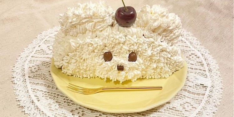 韓国カフェの最新トレンド「ハーフケーキ」が可愛いとJKのうわさ♡Seventeen-Web