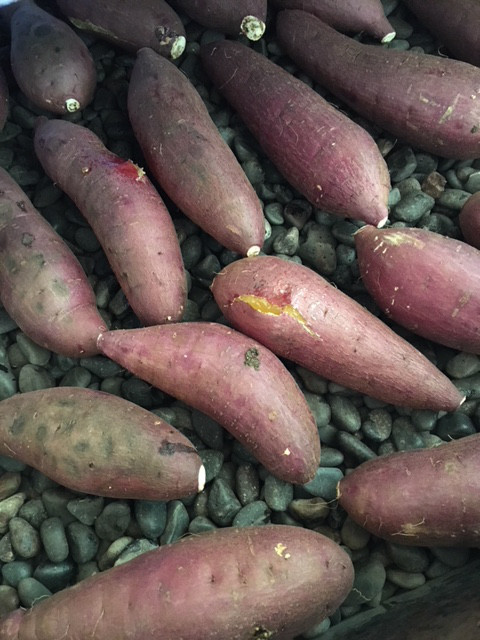 2023年01月31日5きげんテレビテレビ岩手