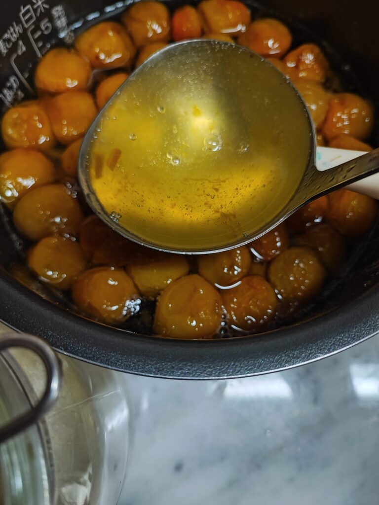 炊飯器で作る梅シロップCAINZ DIY Square