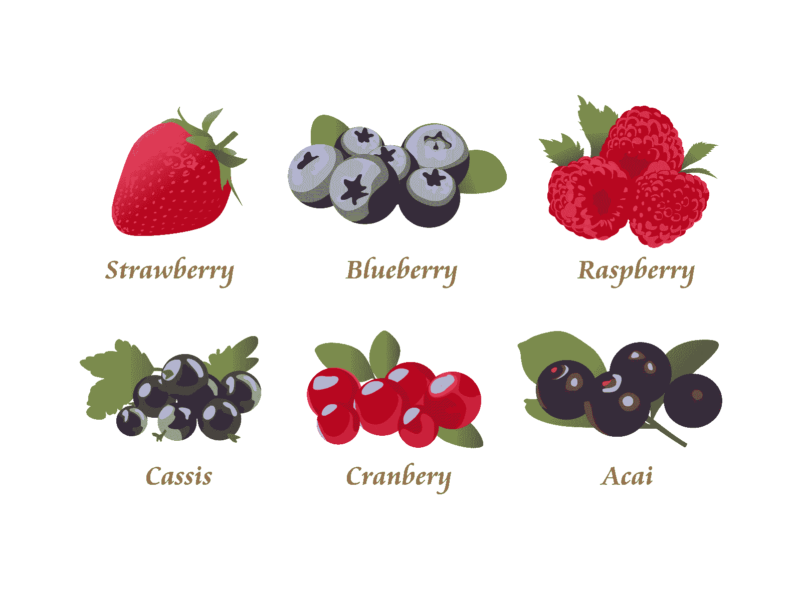 果実長野県の農畜産物JA全農長野