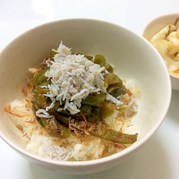 真のタモリレシピ 巷に氾濫する「タモリ流ピーマンの醤油煮」をタモさんの訂正版レシピで正しく作ってみた♪『あたらしい日日』こんな時代のニューノーマルな暮らし方。食と農、生活情報をお届けします