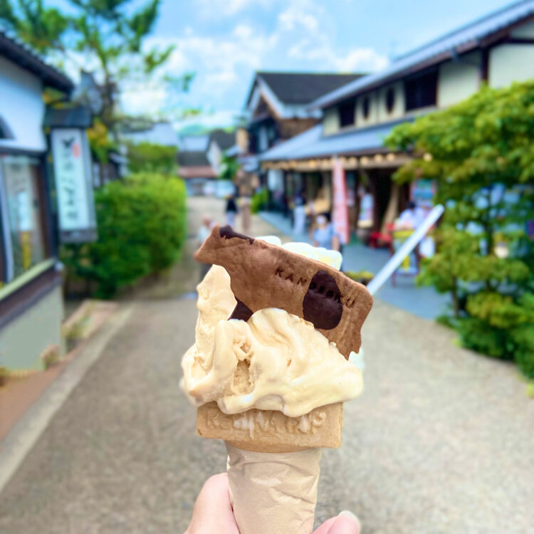狩野牧場の朝しぼりソフト＆豊岡市内産つぶ入り黒豆アイス♥️狩野牧場内堀店＠兵庫県豊岡市イクラちゃんの兵庫県で食べ歩き