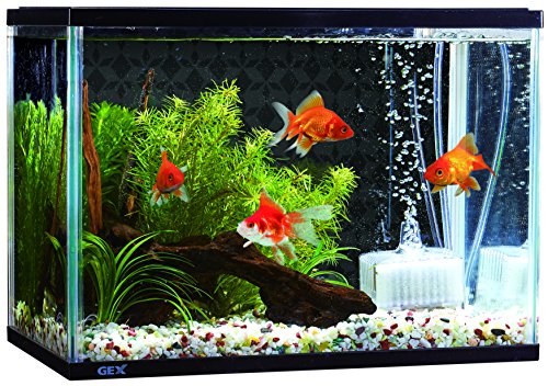 プロ愛用 金魚 餌 3種セット 各500g 沈下性消化 色揚 高栄養