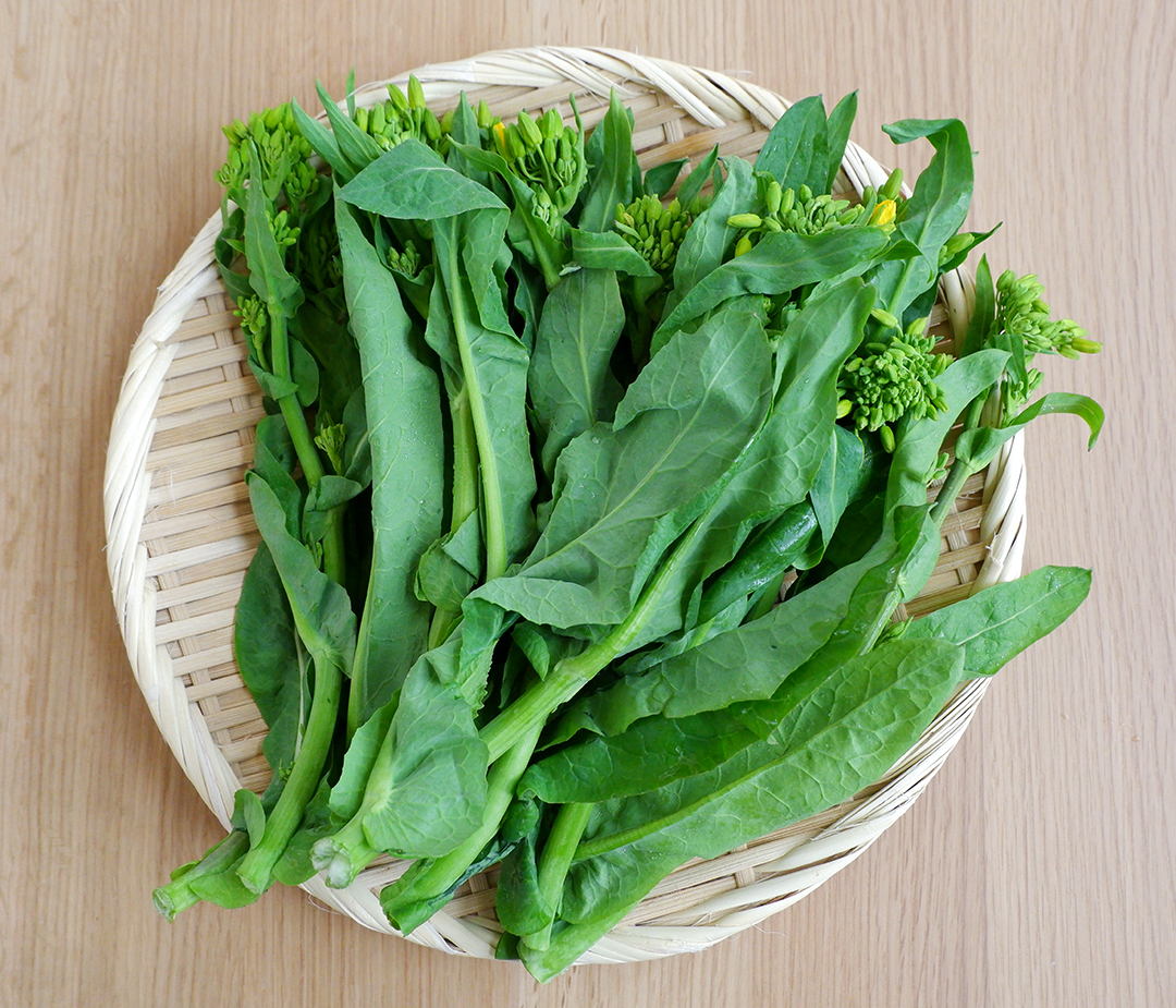 お試し1kg 信州産サラダで食べれる！野沢菜の菜花を箱いっぱい！野菜 葉物 産直アウル農家から直接野菜などの食材を購入できる産地直送の宅配通販サイト