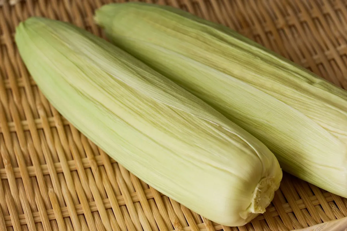 このウマさ、感動もの♪とうもろこしの一番美味しい茹で方・蒸し方とは？暮らしニスタ