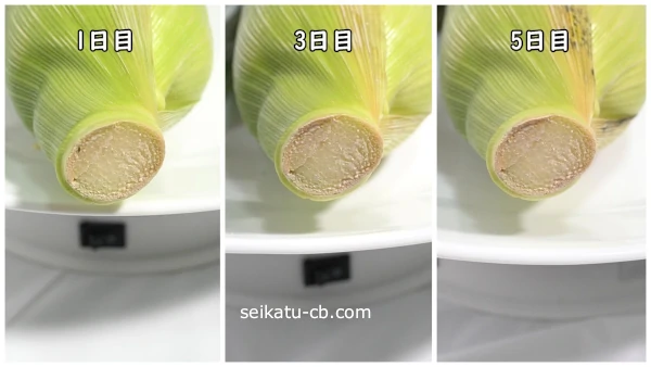 北海道 自然甘 ホールコーン 7号 230g×48缶 スイートコーン コーン とうもろこし とうきび トウモロコシ 缶詰 国産 甘い 長期保存 備蓄常温 クレードル 送料無料55250631北海道伊達市JRE MALLふるさと納税