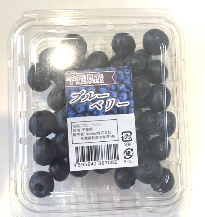 農薬不使用、ど根性栽培の完熟ブルーベリー 木更津市内の8つの「観光ブルーベリー園」が7 8 土 オープン！ 時間無制限食べ放題！木更津 のことなら、きさらづレポート きさレポ