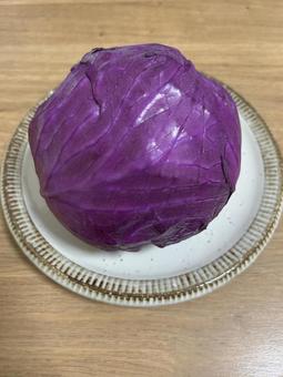 紫キャベツの写真素材・画像素材 Image 35139023