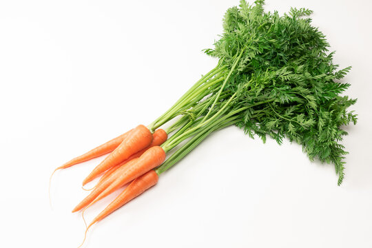 保育士ライフスタイルメディア保育Will 保育製作 ニンジンをテーマにした保育製作アイディア集