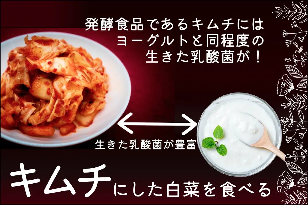 苦い白菜は食べてOK？見分け方は？対処法と食べ方、レシピも紹介 - Fily
