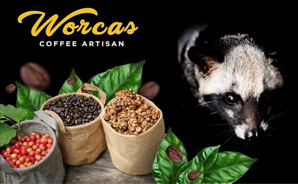 希少 高級ベトナムコーヒー ジャコウネココーヒー 500g ジャコウ猫コーヒー豆 ベトナム