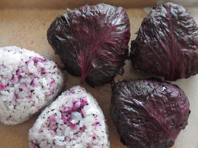 赤紫蘇の塩漬け・赤しそおにぎり –Organic Recipeオーガニックレシピ