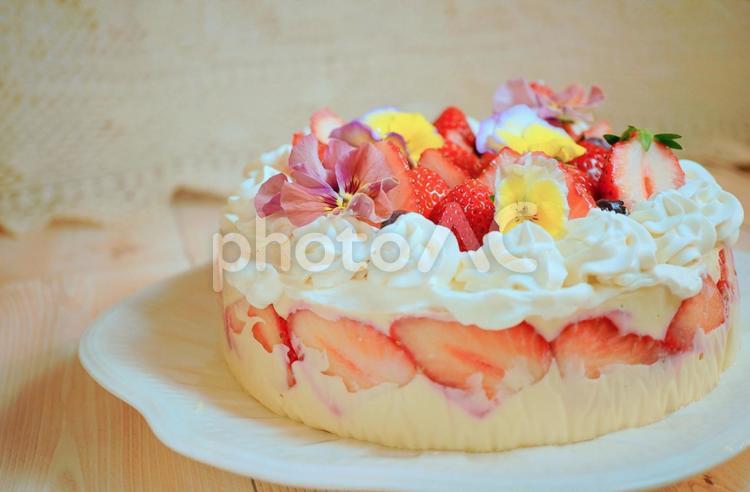 いちごデコレーション🍓しっとり濃厚 ガトーショコラチョリーナ チョコ島