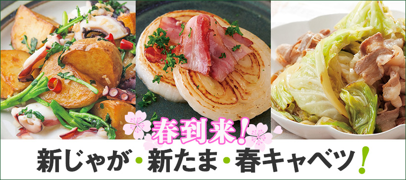 キャベツと豚こまのしょうが焼き