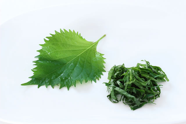 バジルが手元にないときに代用できる食材7つ – シュフーズ