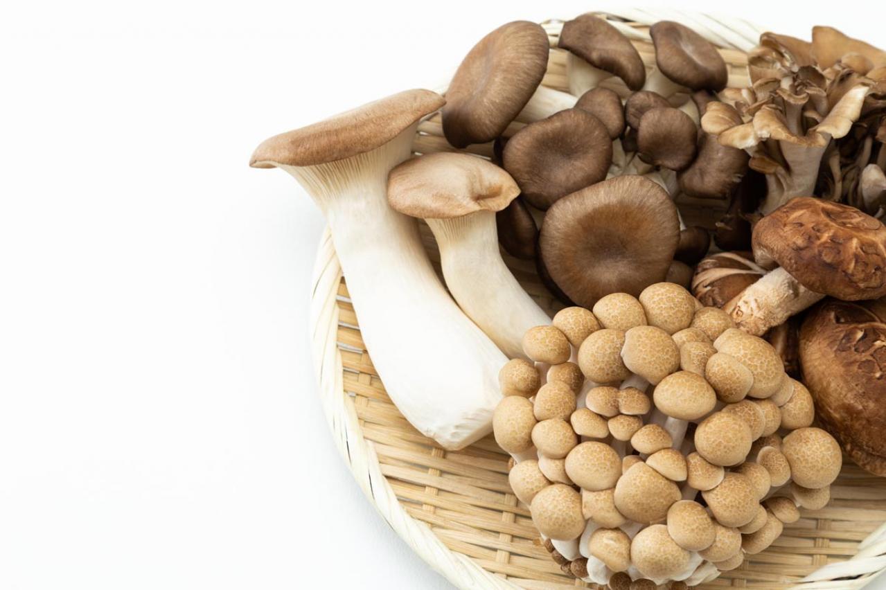 ぶなしめじは洗わないでOK！生産者さんに聞いた7つの理由関東きのこの会