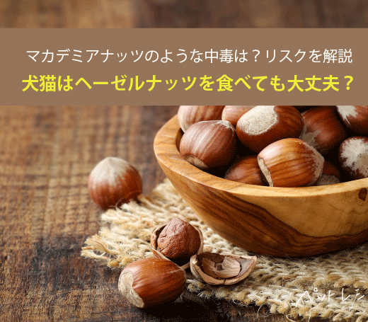 前田家 無添加 5種のミックスナッツ 260g 無塩 無油 くるみ アーモンド カシューナッツ マカダミアナッツ ヘーゼルナッツ ナッツ 素