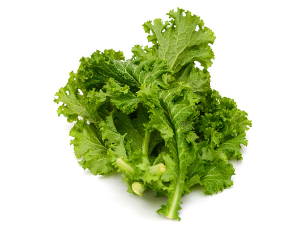 葉物野菜有機野菜・無農薬野菜の宅配通販 モアーク